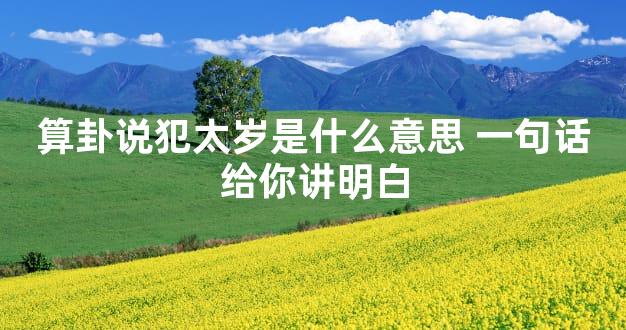 算卦说犯太岁是什么意思 一句话给你讲明白
